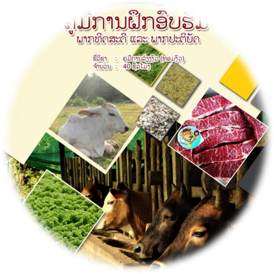 ຄູ່ມື ຫັດຖະກໍາ ແລະ ກະສິກໍາ Image